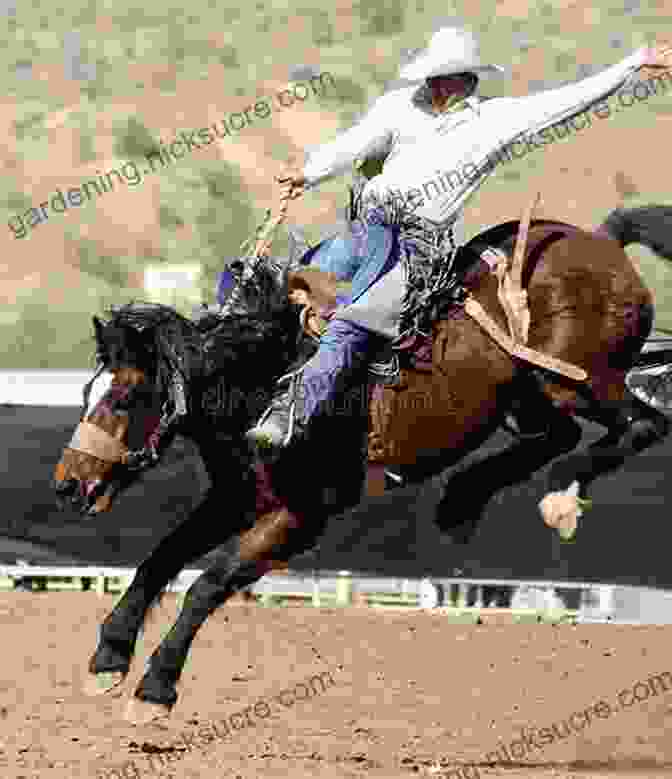 Cowboy Riding A Bucking Bronco At A Rodeo Cowboy Chatter Article Steamboat (Cowboy Chatter Articles 1)