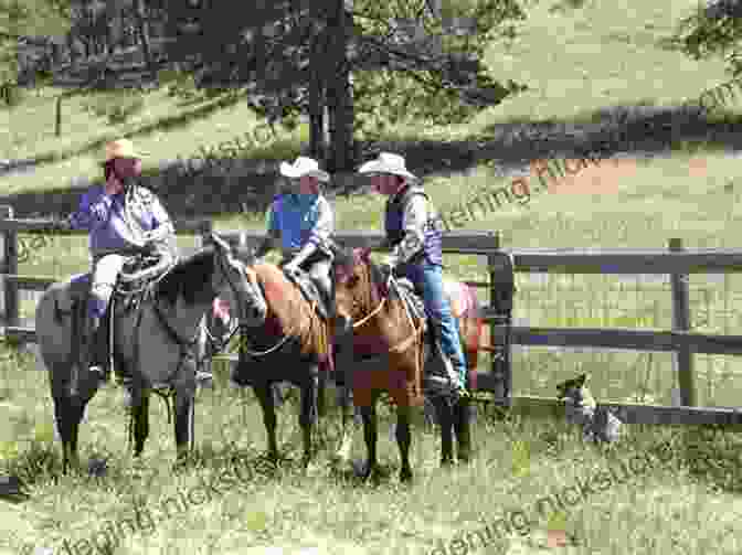 Cowboy Working Cattle On A Ranch Cowboy Chatter Article Steamboat (Cowboy Chatter Articles 1)