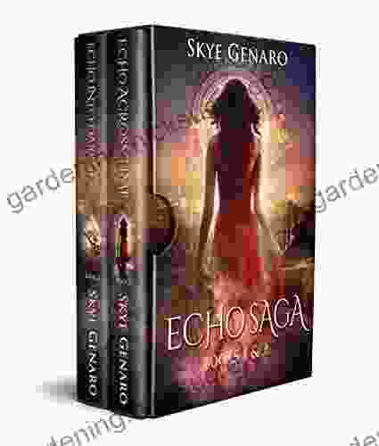 The Echo Saga 1 2: Echo Across Time And Echo Into Darkness Bundle