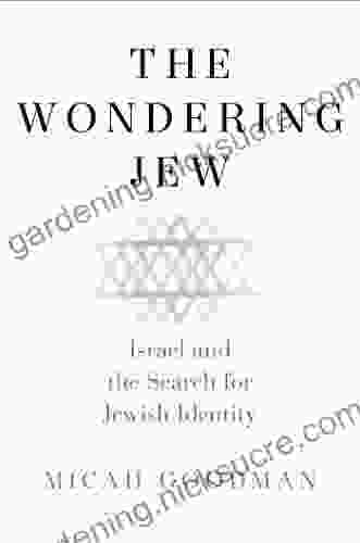 The Wondering Jew: Israel And The Search For Jewish Identity