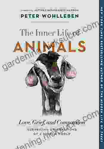 The Inner Life Of Animals: Love Grief And Compassion Surprising Observations Of A Hidden World (The Mysteries Of Nature 2)
