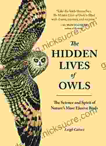 The Hidden Lives Of Owls: The Science And Spirit Of Nature S Most Elusive Birds